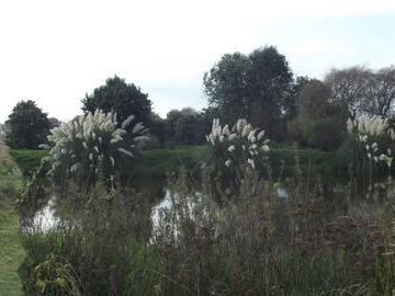 Terreno - San Andrés Ocotlán