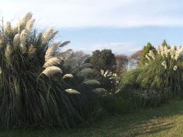 Terreno - San Andrés Ocotlán
