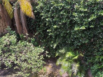 CASA U OFICINA EN VENTA CERRO DEL TESORO TLAQUEPAQUE