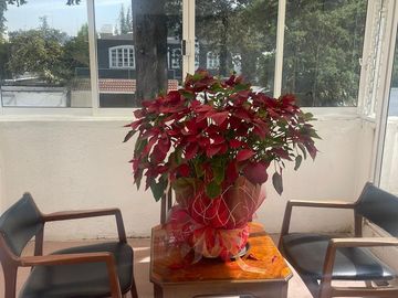 VENTA DE CASA EN RESIDENCIAL COLON, TOLUCA