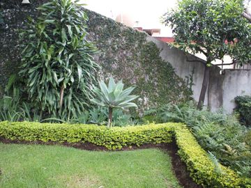 Venta y Renta de Casa sola frente al Lienzo Charro, Cuernavaca Morelos
