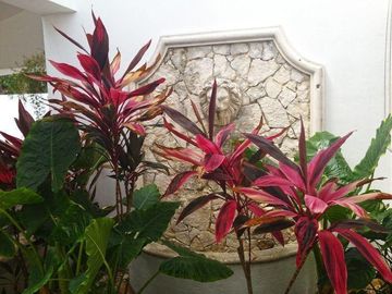 Playa del Secreto - Multipropiedad Frente al Mar en Venta