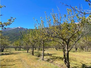 Agrícola en Venta en FUNDO RESERVA LOS QUEÑES - LA JAULA