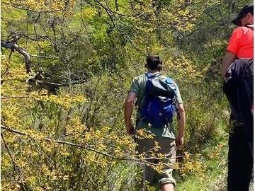 Agrícola en Venta en FUNDO RESERVA LOS QUEÑES - LA JAULA