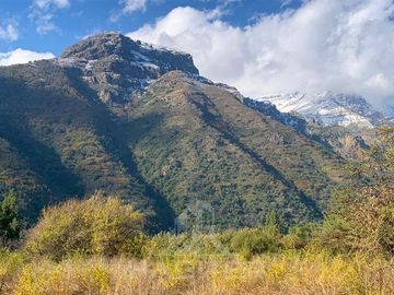 Agrícola en Venta en FUNDO RESERVA LOS QUEÑES - LA JAULA
