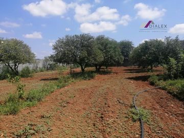 Terreno de 11160 m2 en Venta - ALLENDE N.L. - Ideal para urbanizar o para quinta
