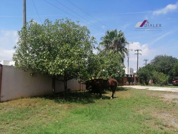 Terreno de 11160 m2 en Venta - ALLENDE N.L. - Ideal para urbanizar o para quinta