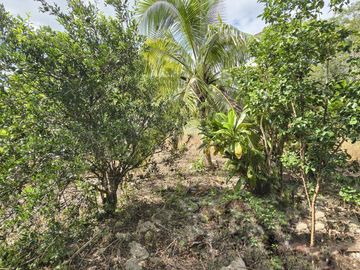 Casa en  Chichimilá