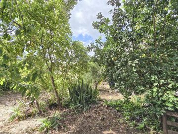 Casa en  Chichimilá