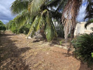 Casa en  Chichimilá