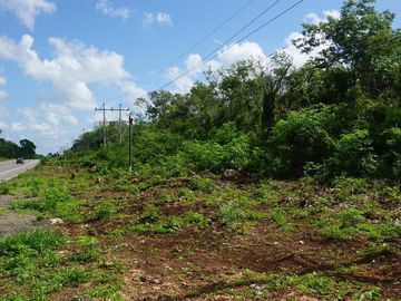 Hectáreas en venta sobre carretera a Temozón