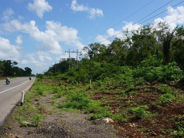 Hectáreas en venta sobre carretera a Temozón