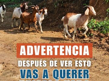 Venta de Terrenos en Chacahua, Puerto Escondido Oaxaca