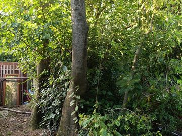 Quinta en Nueva Hermosura