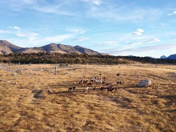 Terreno en Provincia de Santa Cruz - Calafate