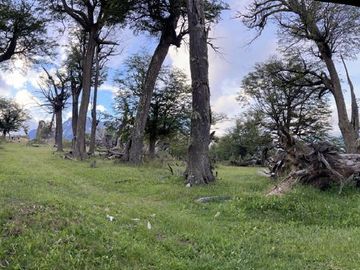 Terreno en Provincia de Santa Cruz - Calafate