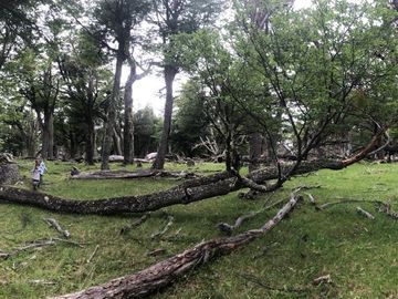 Terreno en Provincia de Santa Cruz - Calafate