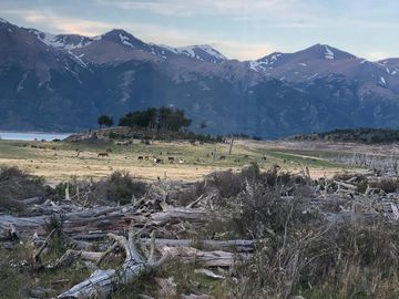 Terreno en Provincia de Santa Cruz - Calafate