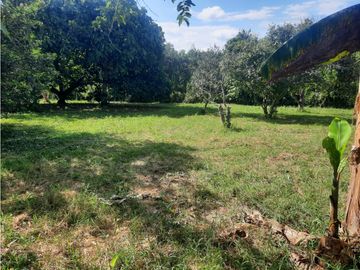 CASA CAMPESTRE ENTRE MONTENEGRO Y QUIMBAYA
