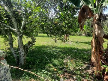 CASA CAMPESTRE ENTRE MONTENEGRO Y QUIMBAYA