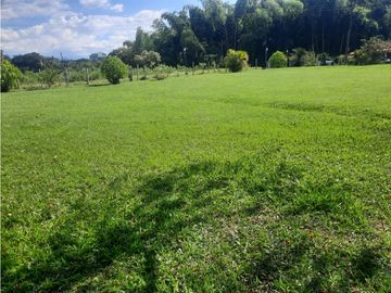 CASA CAMPESTRE ENTRE MONTENEGRO Y QUIMBAYA