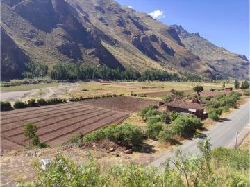 VENDO TERRENO DE 8000 M2 A PIE DE PISTA VALLE SAGRADO PISAC CUSCO PERU