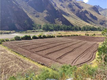 VENDO TERRENO DE 8000 M2 A PIE DE PISTA VALLE SAGRADO PISAC CUSCO PERU