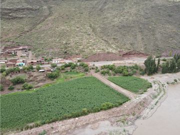 VENDO TERRENO DE 8000 M2 A PIE DE PISTA VALLE SAGRADO PISAC CUSCO PERU