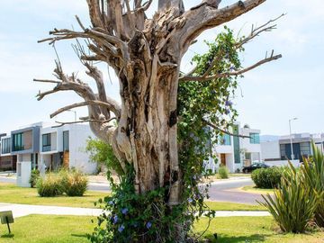 Casa en venta Casa Fuerte