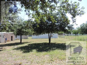 Quinta - Canoas
