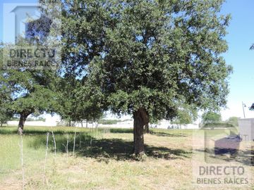 Quinta - Canoas