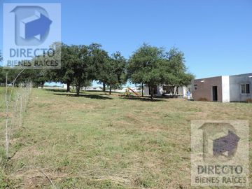 Quinta - Canoas