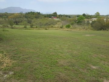 Quinta - Paso Hondo