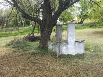 Quinta - Paso Hondo