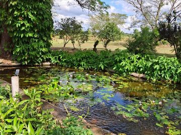 Hacienda en venta a solo 30 minutos de la ciudad de Mérida, Yucatán