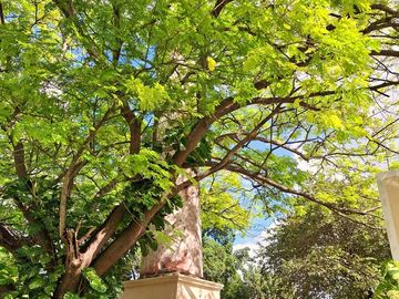 Hacienda en venta a solo 30 minutos de la ciudad de Mérida, Yucatán