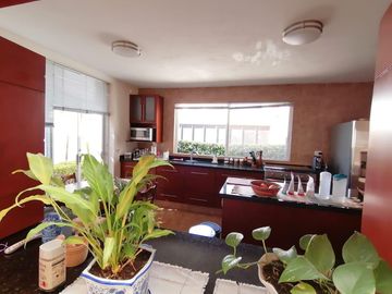Casa de un solo Nivel de Diseño en Venta Fraccionamiento Atras de Plaza San Diego