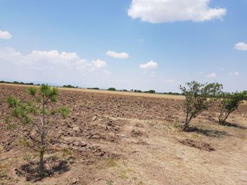 VENTA TERRENO GUANAJUATO SAN LUIS DE LA PAZ 124 HECTARIAS JAMAICA