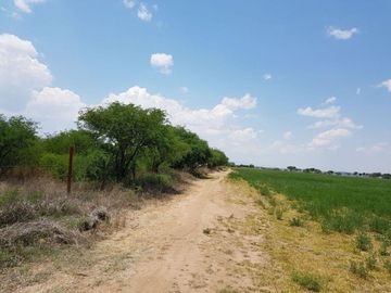 VENTA TERRENO GUANAJUATO SAN LUIS DE LA PAZ 124 HECTARIAS JAMAICA