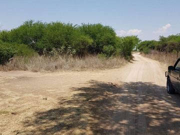 VENTA TERRENO GUANAJUATO SAN LUIS DE LA PAZ 124 HECTARIAS JAMAICA