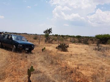 VENTA TERRENO GUANAJUATO SAN LUIS DE LA PAZ 124 HECTARIAS JAMAICA