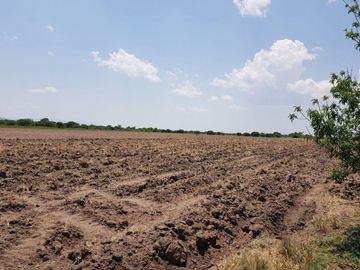 VENTA TERRENO GUANAJUATO SAN LUIS DE LA PAZ 124 HECTARIAS JAMAICA