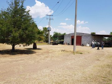 VENTA TERRENO GUANAJUATO SAN LUIS DE LA PAZ 124 HECTARIAS JAMAICA
