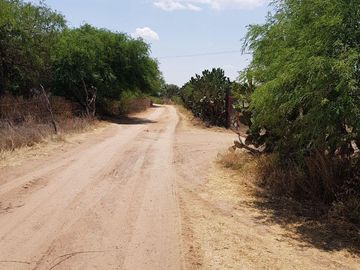 VENTA TERRENO GUANAJUATO SAN LUIS DE LA PAZ 124 HECTARIAS JAMAICA