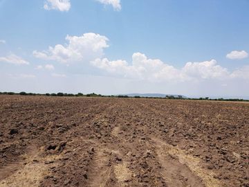 VENTA TERRENO GUANAJUATO SAN LUIS DE LA PAZ 124 HECTARIAS JAMAICA