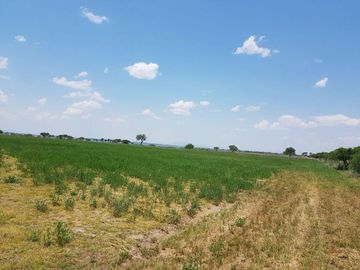 VENTA TERRENO GUANAJUATO SAN LUIS DE LA PAZ 124 HECTARIAS JAMAICA