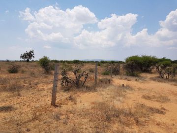VENTA TERRENO GUANAJUATO SAN LUIS DE LA PAZ 124 HECTARIAS JAMAICA