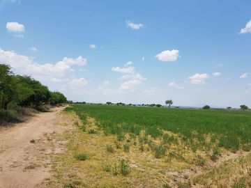 VENTA TERRENO GUANAJUATO SAN LUIS DE LA PAZ 124 HECTARIAS JAMAICA