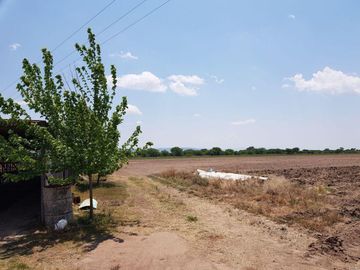 VENTA TERRENO GUANAJUATO SAN LUIS DE LA PAZ 124 HECTARIAS JAMAICA