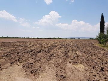 VENTA TERRENO GUANAJUATO SAN LUIS DE LA PAZ 124 HECTARIAS JAMAICA